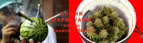 стаф Аркадак