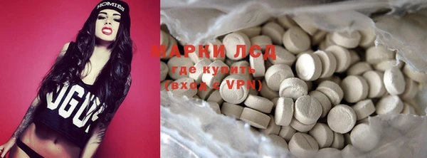 стаф Аркадак