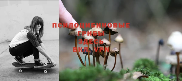 стаф Аркадак