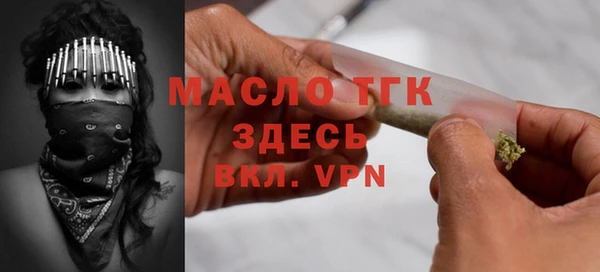 стаф Аркадак