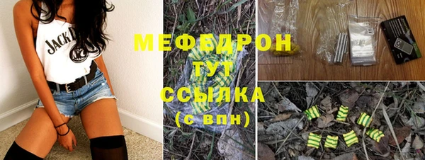 стаф Аркадак