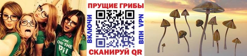 наркошоп  Сосновый Бор  МЕГА tor  Псилоцибиновые грибы мухоморы 